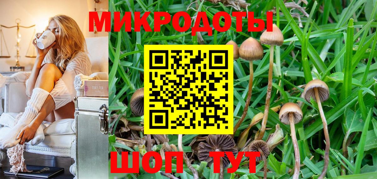 Галлюциногенные грибы прущие грибы  Вход с VPN  Свободный 