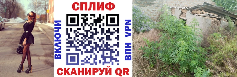 Бошки марихуана марихуана Свободный